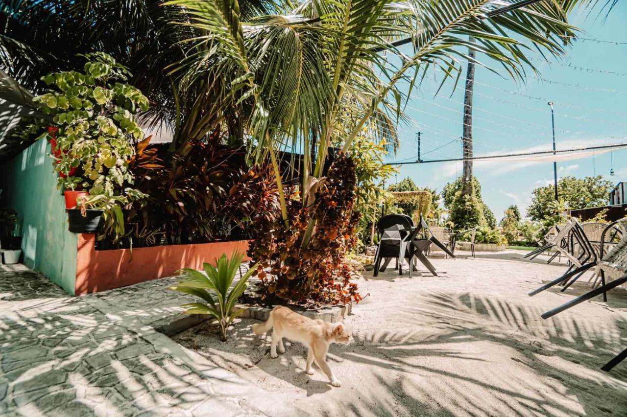 Hotel Oceana Boutique à Maafushi Extérieur photo